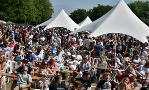 The Stone Food & Drink Festival draws huge crowds - the VIP tickets will offer an exclusive experience of the event