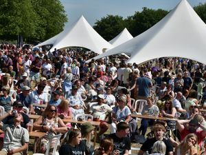 Supporting image for story: Stone Food & Drink Festival celebrates 21st year with new VIP tickets