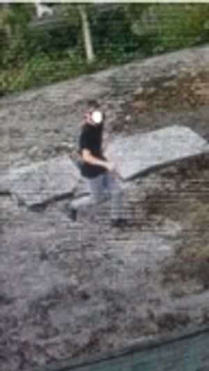 Are these your children?