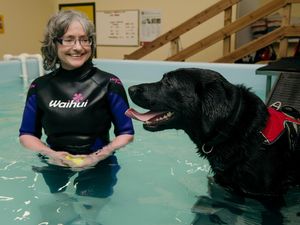 Supporting image for story: Guide dog Emily to make a splash for charity by swimming 100 lengths