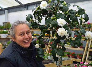 Wendy Haywood with a camellia in bud