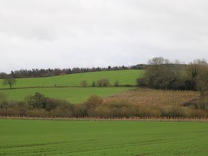 Supporting image for story: Harper Adams students visit Bradford Estates' woodland creation project