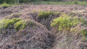 The grenade throwing bay (circular area) on Cannock Chase, where the accident happened all those years ago