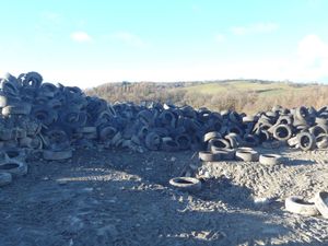 Mixed tyres found by NRW officers. Picture: NRW
