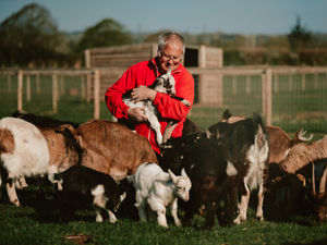 Supporting image for story: Shropshire donkey park owner thanks public for donations - but warns future remains 'bleak'