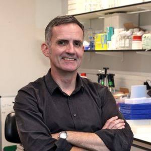 Professor Stephen B. Walsh