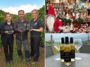 Supporting image for story: 'A truly exceptional year': Raise a glass to Christmas at vineyard near Stourbridge