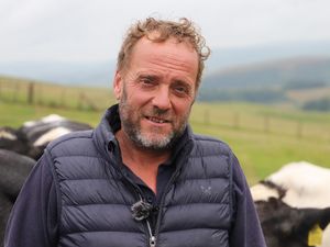 Supporting image for story: Livestock farmer trials peas and beans as soya alternative in ewe rations