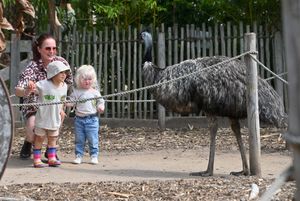 Zoe Parkes with Hallie, aged two, and Dottie, aged two, the Wild Zoo's emu