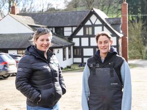 Supporting image for story: Powys farmer future-proofs business after holiday move