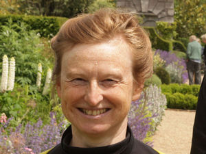 Supporting image for story: Peter Rhodes on Christmas Past and Present, a cats' tale and the perils of being candle-unaware