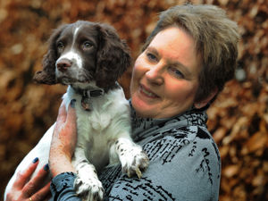 Supporting image for story: Hospice and puppy power prove a lifeline for Diane