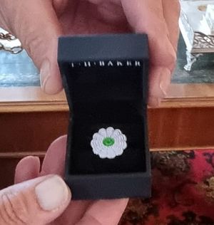 The Srebrenica commemorative pin badge presented to Dudley Mayor Pete Lee on June 19. Picture Cllr Andrew Tromans free for LDRS use