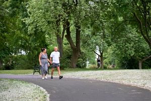 It was a nice day to go for a walk among the trees
