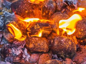 Supporting image for story: Recreational fires and barbecues to be banned in Cairngorms National Park