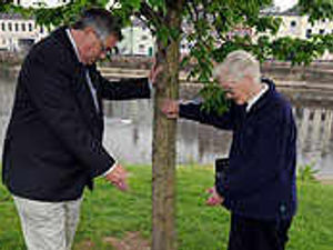 Supporting image for story: Widow's shock at missing memorial