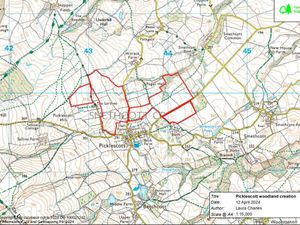 Supporting image for story: Concerns consultation deadline is 'too soon' after concerns raised over new woodland