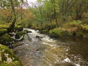 Supporting image for story: Over £900,000 funding secured for ambitious project to restore and protect two Powys rivers