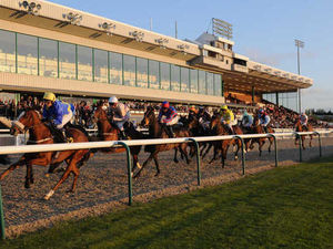 Supporting image for story: Wolverhampton Racecourse profits fall by £1m