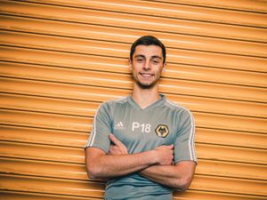 Supporting image for story: Five young Wolves cubs who did not work out
