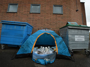 Supporting image for story: Exhibition celebrates people behind Wolverhampton homelessness charity