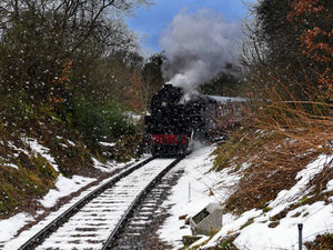 Supporting image for story: Polar Express at Telford Steam Railway sells out within 36 hours of going on sale