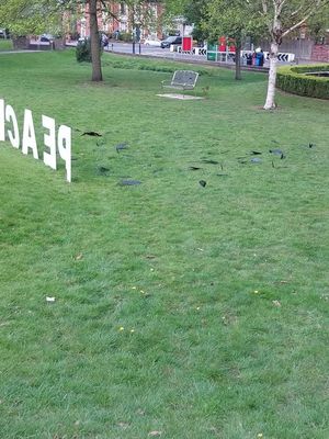 The 80 statues at the Dudley peace gareden depicting fallen soldiers of all who fought in Britain's conflict over the years were damaged at the weekend