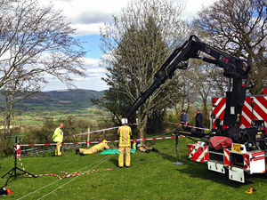 Supporting image for story: Drama as newborn lamb tumbles down 26ft farm well