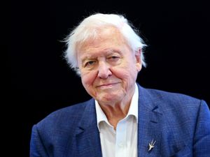 Supporting image for story: David Attenborough and EastEnders among shows nominated for Rose d’Or Awards