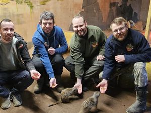 Supporting image for story: Zookeepers in Telford set to take on Three Peaks challenge
