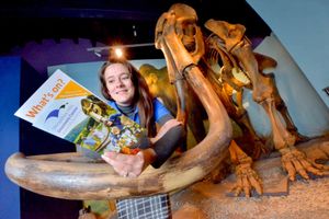 Supporting image for story