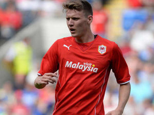 Supporting image for story: Wolves want Joe Mason - and another striker