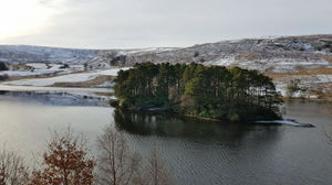 Pen y Garreg Island in the Elan Valley