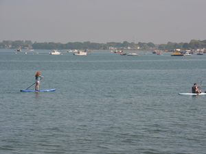 Paddle boarders