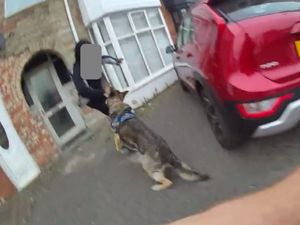 Supporting image for story: Moment police K9s assisted firearms officers in dramatic Birmingham arrest