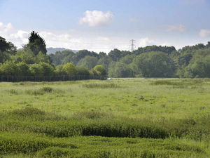 Supporting image for story: Fury as work starts on marina near Dudley