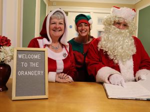 Supporting image for story: Don't miss Santa at Derwen College Christmas Fayre