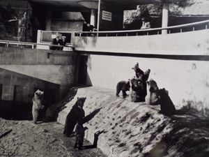 Supporting image for story: Dudley Zoo hopeful over return of bears for first time in 40 years