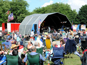 Supporting image for story: Wolvestock never stood chance of going ahead, claims former mayor