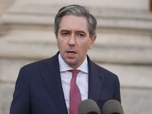 Supporting image for story: Irish deputy premier says country not taking ‘soft’ approach on US