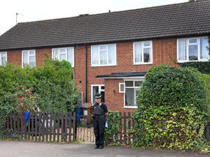 Supporting image for story: Eyewitness says dogs acted like 'vultures' in fatal attack, but residents trying to help were 'amazing'