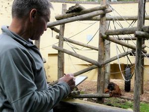 Supporting image for story: Dudley Zoo art will help boost fundraising