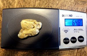 Bids for the nugget reached around £12,000. Photo: SWNS