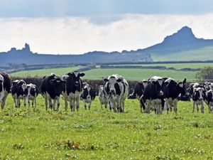 Supporting image for story: The search is on for an exceptional individual who has made a lasting impact on the Welsh dairy industry