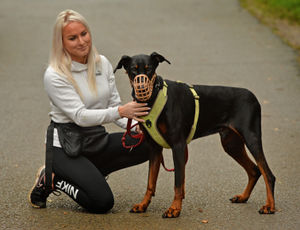 Fundraising for JD the dobermann, Cheryl Gibson, of Broseley, at Hilbrae Pets Hotel, Cold Hatton, Telford