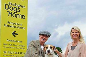 Supporting image for story: UB40 star Brian Tavers presents cheque for £900 to Birmingham Dogs Home