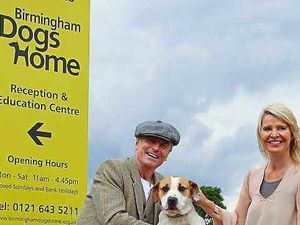 Supporting image for story: UB40 star Brian Tavers presents cheque for £900 to Birmingham Dogs Home