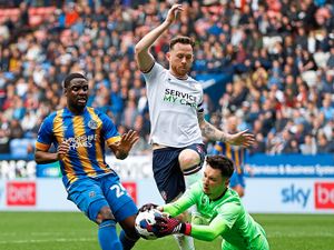 Supporting image for story: Shrewsbury v Sheffield Wednesday preview: Town have their eyes on a strong finish to the season