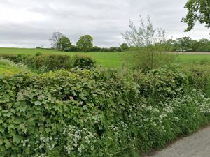 Supporting image for story: Phone mast near Church Stretton given green light despite objections