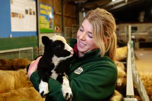 Lucy Jones of Park Hall with one of the new arrivals